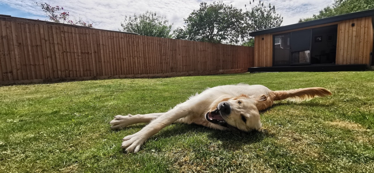 Beautiful Lawns All Year Round – Turfing & Artificial Grass Experts