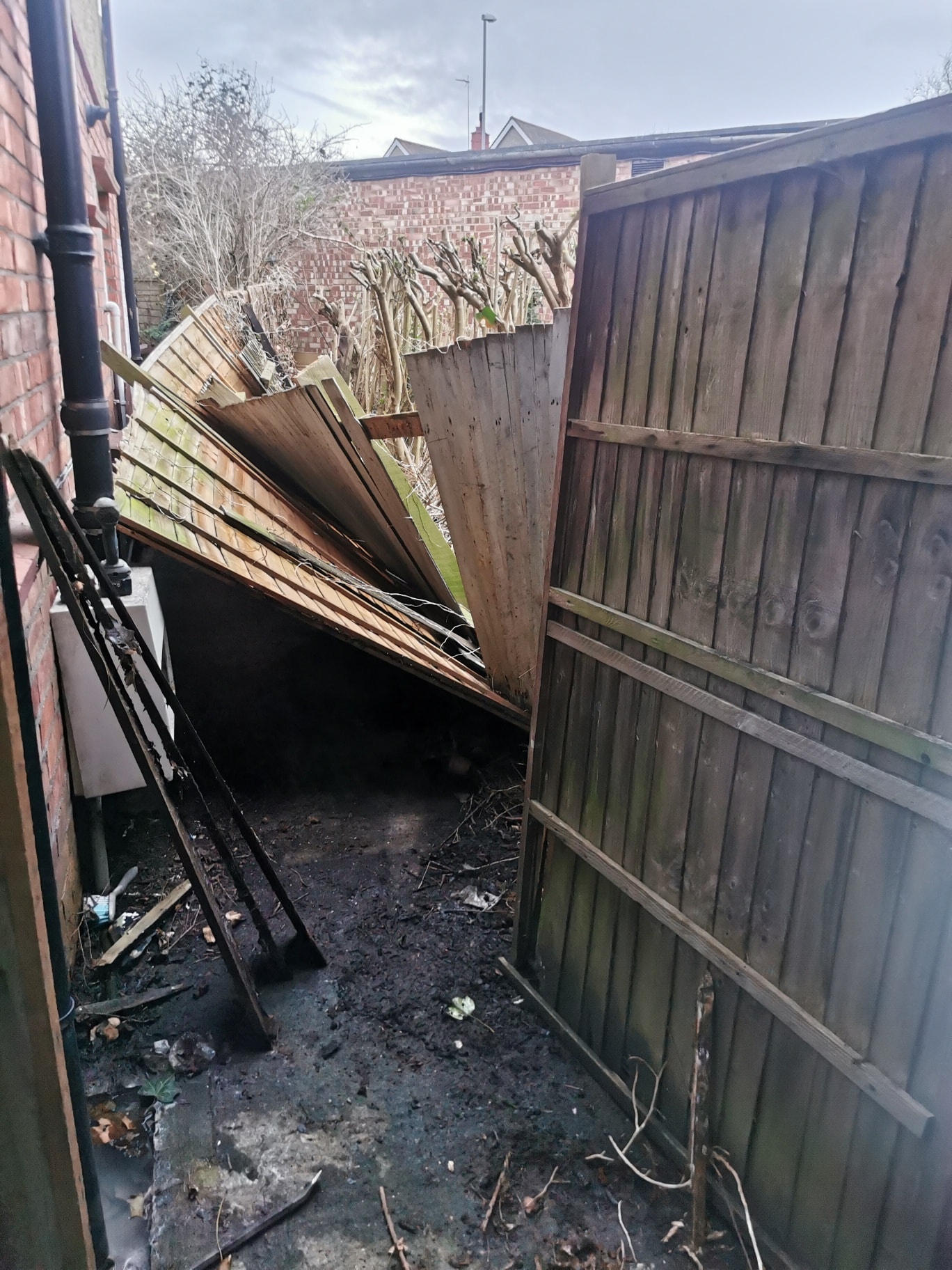 Call 07811 034 789 today for a free quote or to book your garden clearance. We’re reliable, professional, and committed to making your garden look great again — no matter how big or overgrown the job.