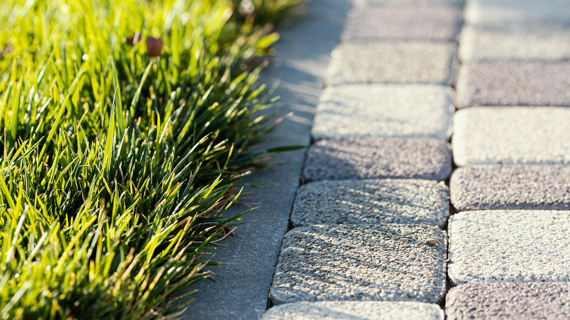 Our customers and clients are our main priority, we will always work professionally and within set time frames. We have a wealth of knowledge to be able to complete any project of any size.